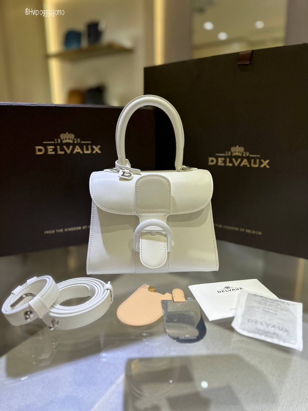 Delvaux Brillan mini in Box Calf white