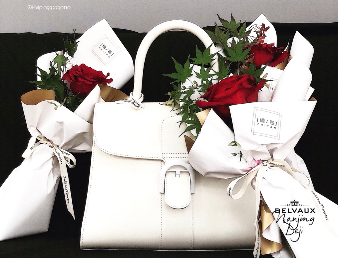 Delvaux Brillant MM in Box Calf white