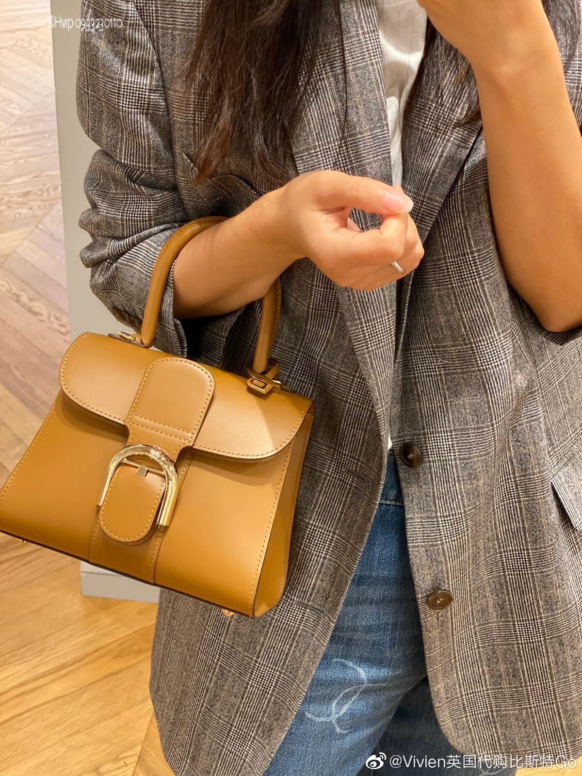 Delvaux Brillan mini in Box Calf beige