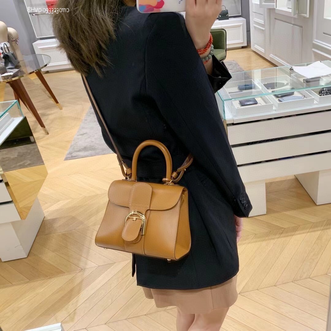 Delvaux Brillan mini in Box Calf beige