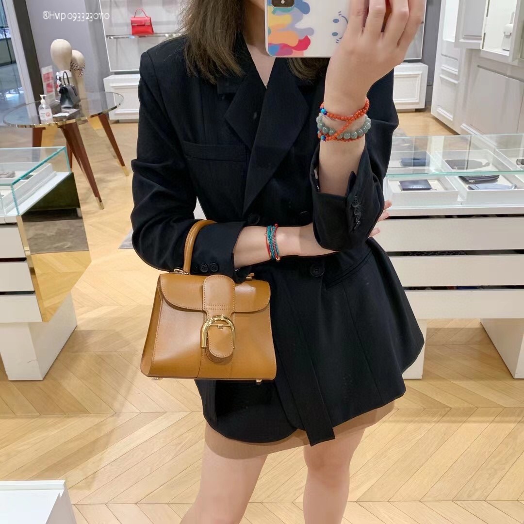 Delvaux Brillan mini in Box Calf beige