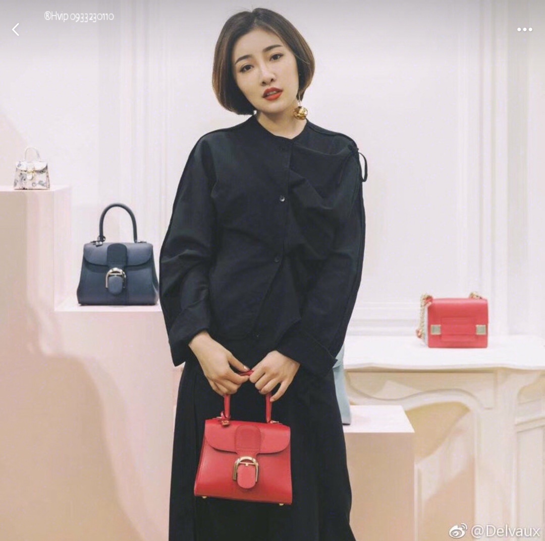 Delvaux Brillan mini in Box Calf red