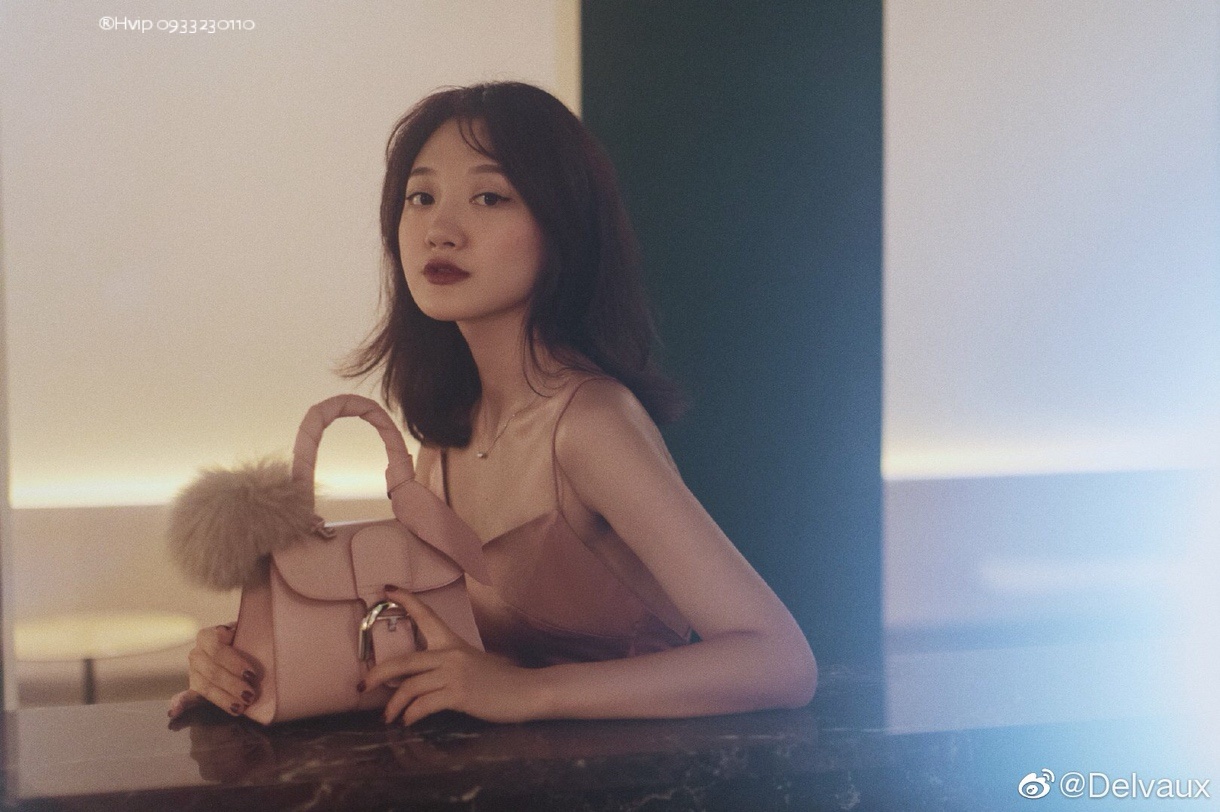 Delvaux Brillan mini in Box Calf Pink