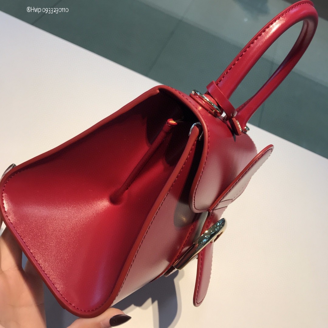 Delvaux Brillan mini in Box Calf burgundy