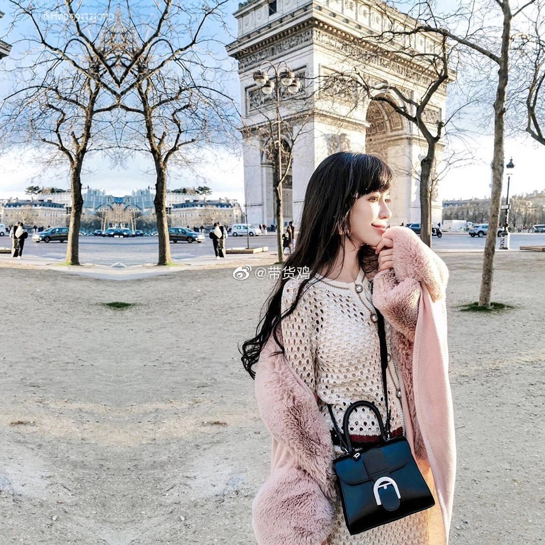 Delvaux Brillan mini in Box Calf black