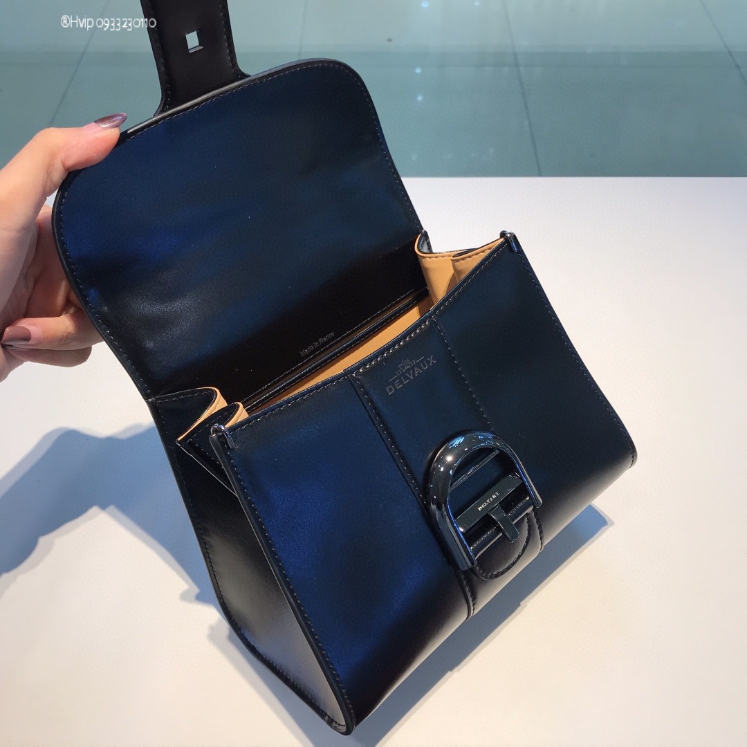 Delvaux Brillan mini in Box Calf so black