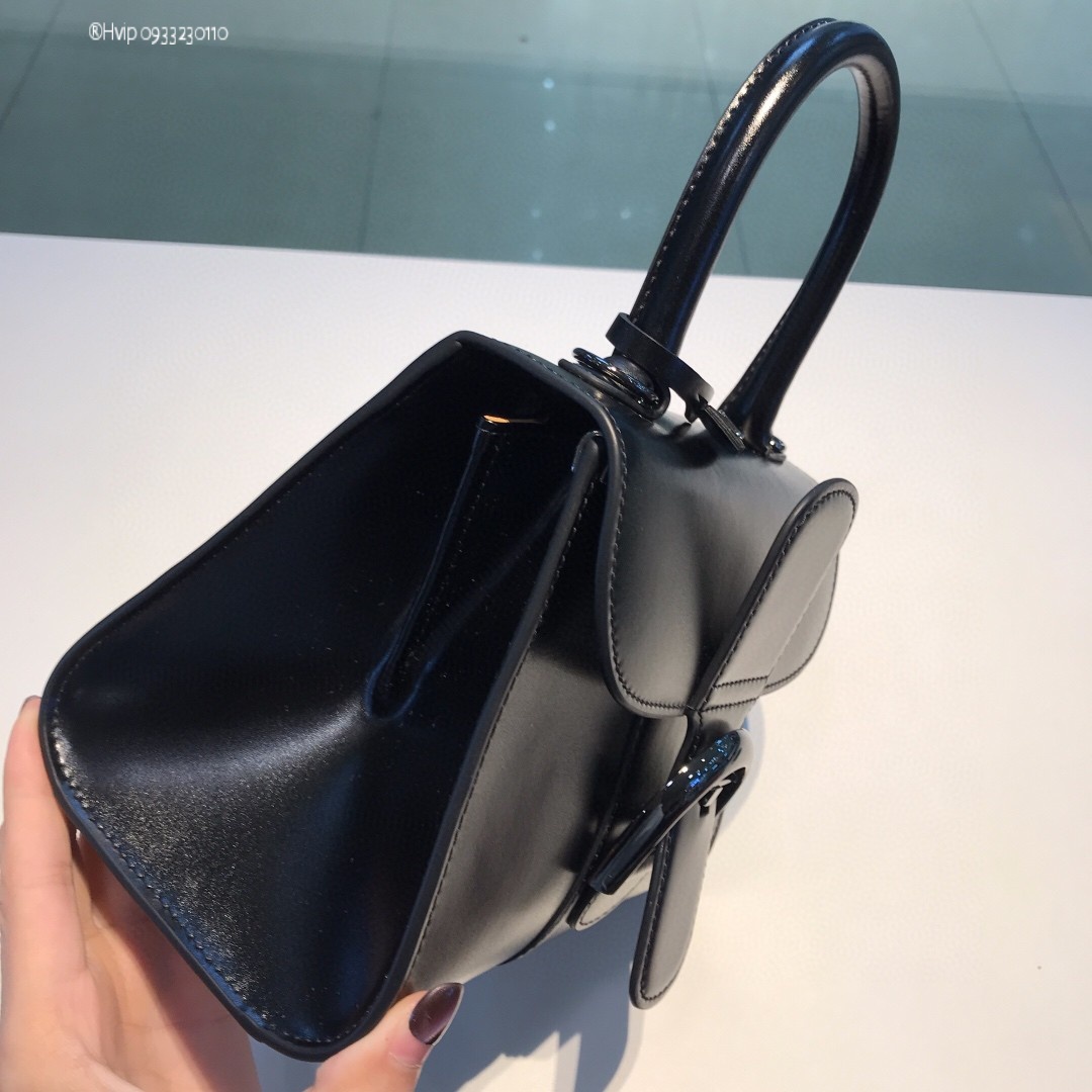 Delvaux Brillan mini in Box Calf so black