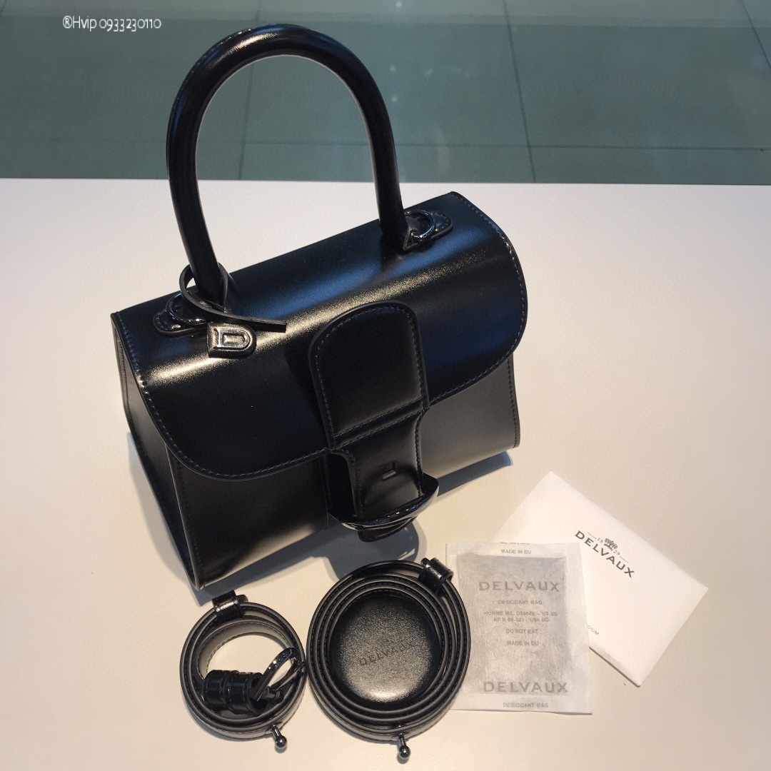 Delvaux Brillan mini in Box Calf so black