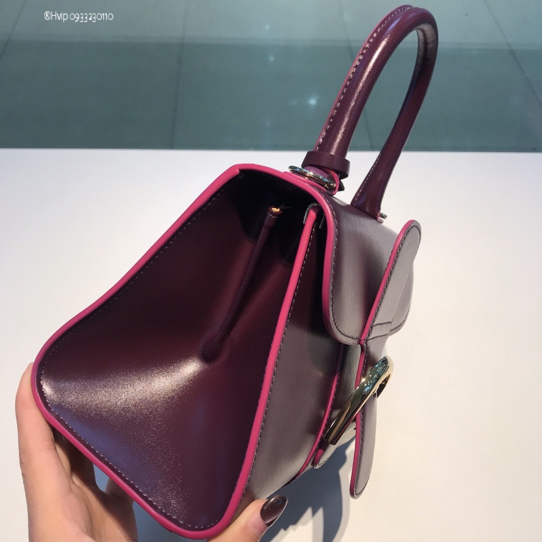 Delvaux Brillan mini in Box Calfskin