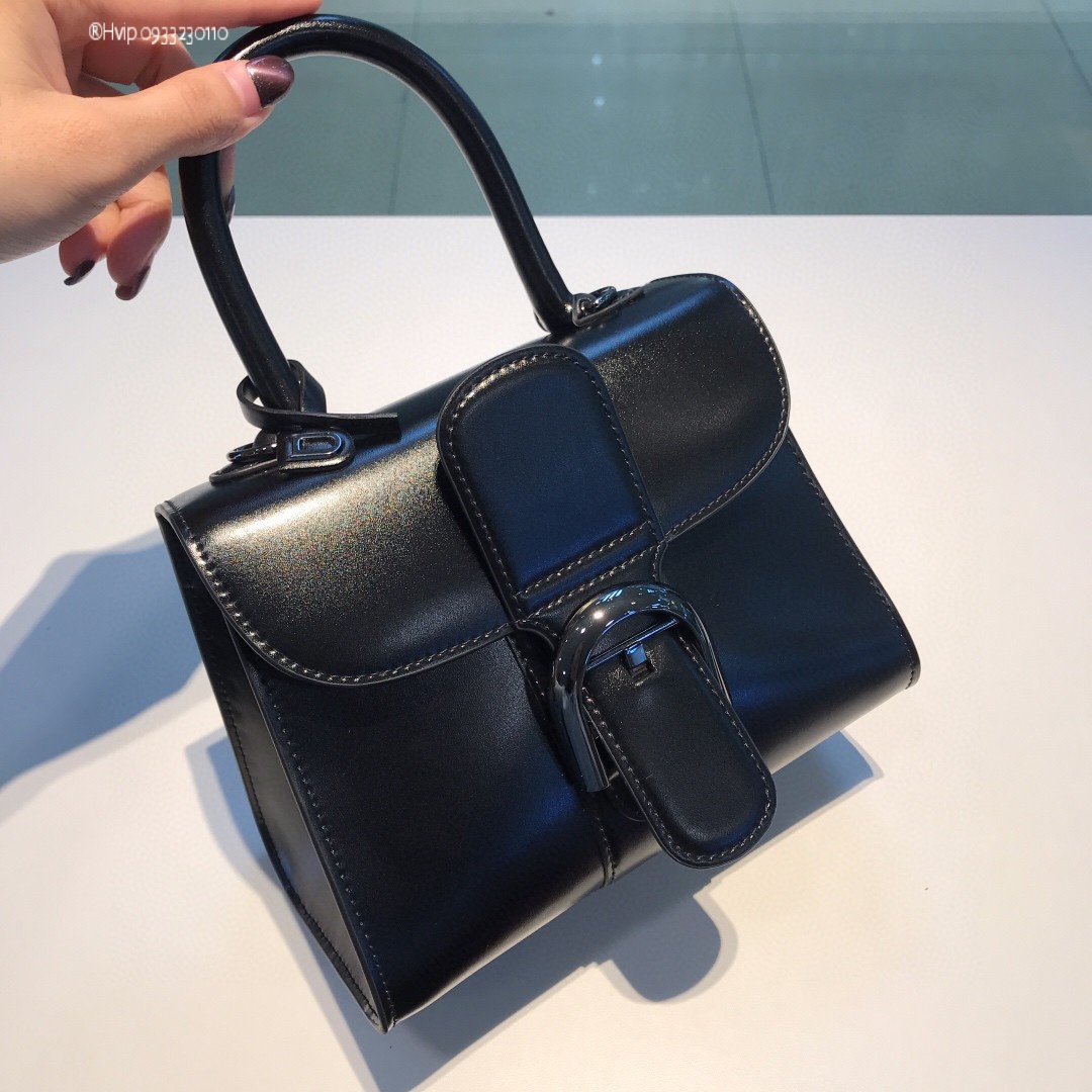 Delvaux Brillan mini in Box Calf so black