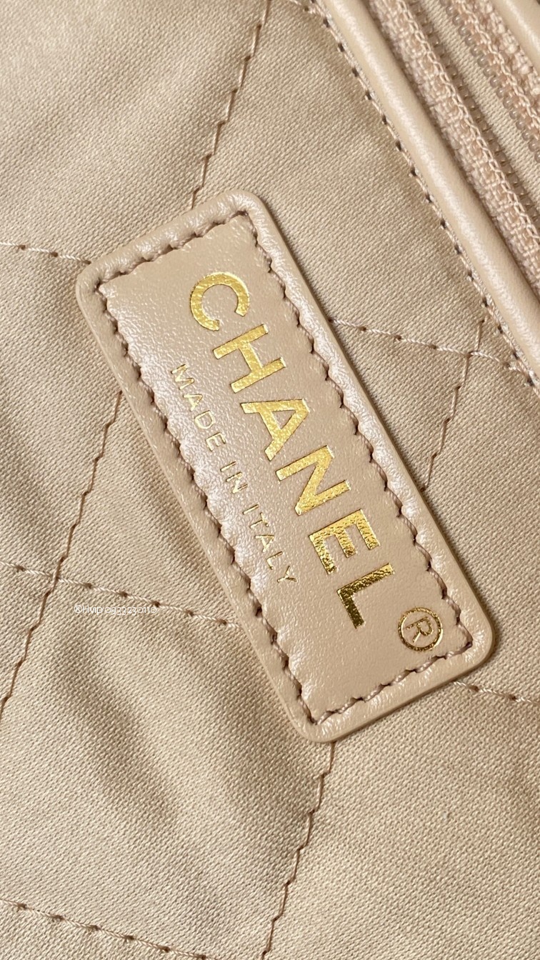 Chanel 22 hobo bag