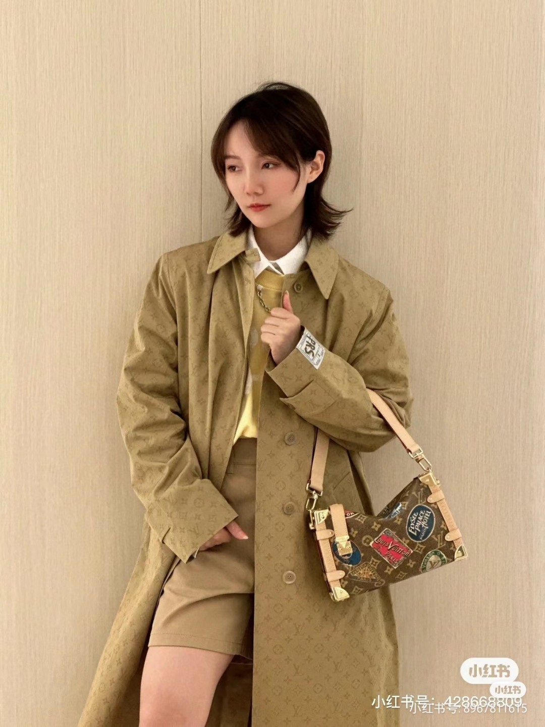 Louis Vuitton M47085 Side Trunk MM Lv1