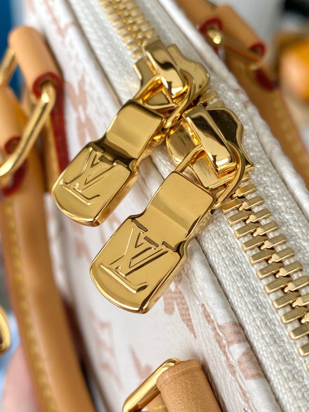 Louis Vuitton M46895 Nano Alma Lv1