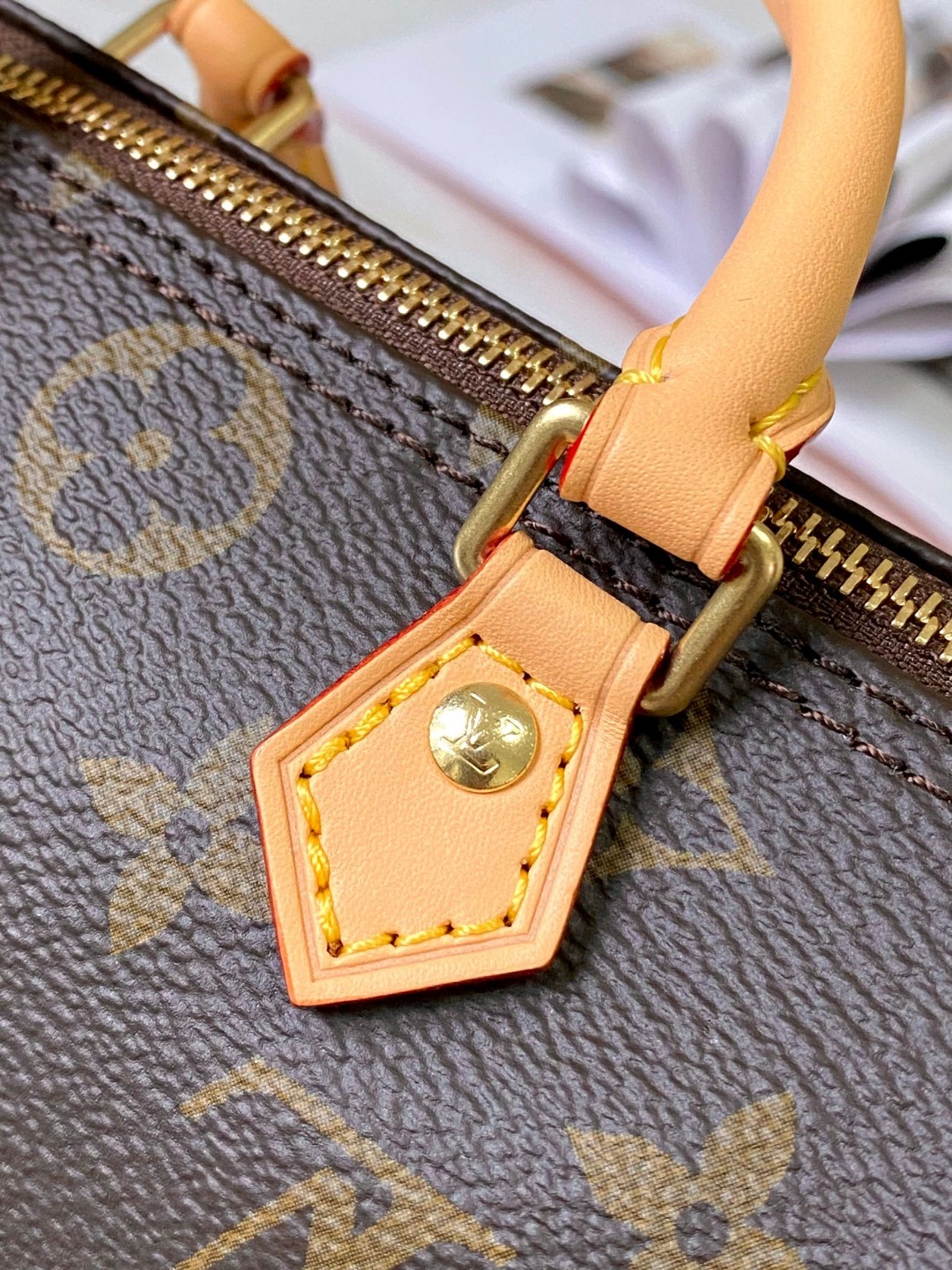 Louis Vuitton M61252 Nano Speedy Monogram canvas