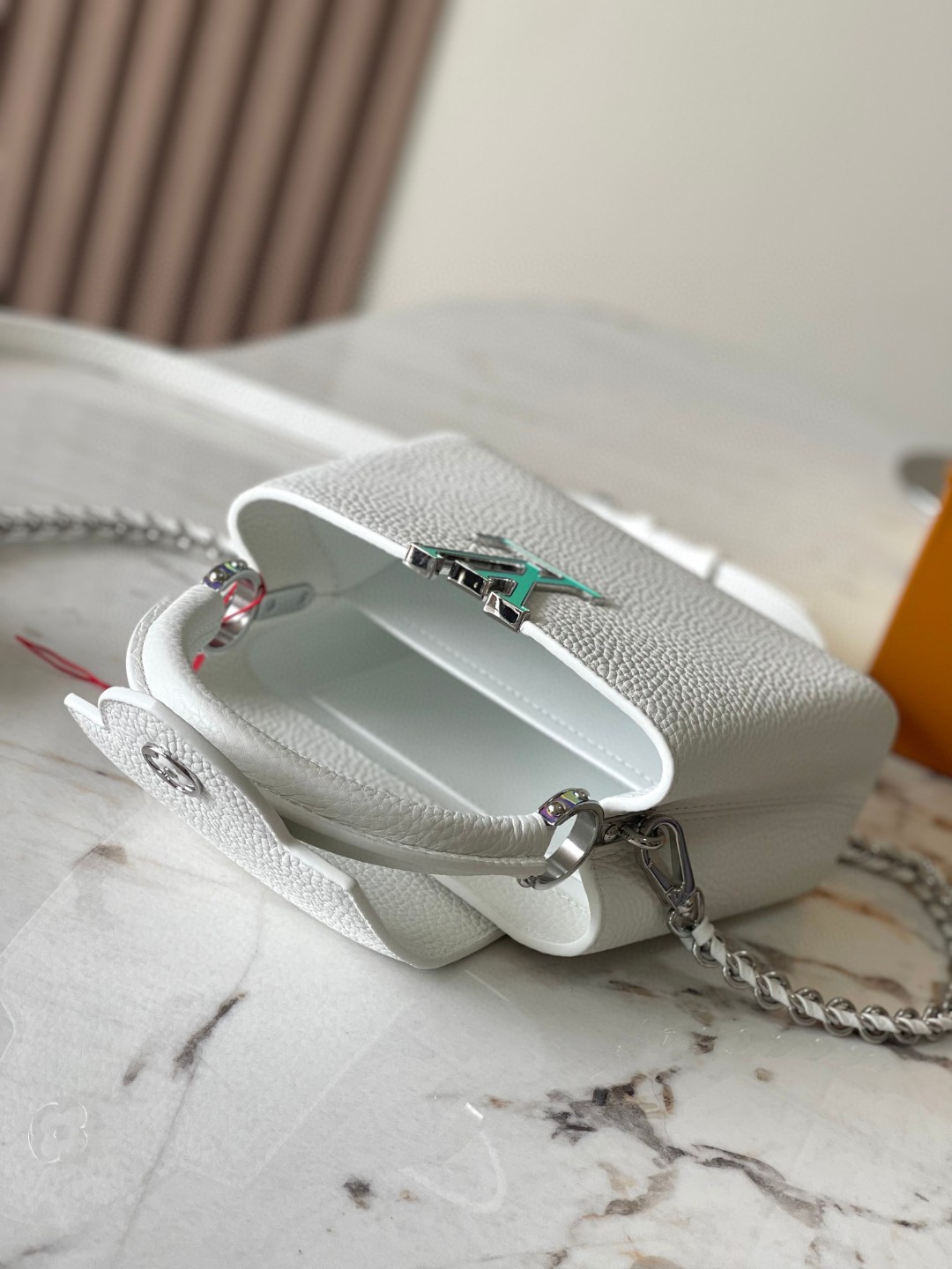 Louis Vuitton Louis Vuitton M23289 Capucines Mini