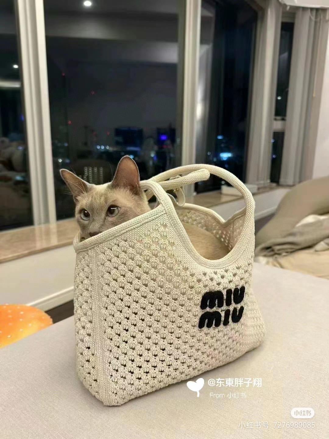 Miu Miu 5BG281_2F8E_F0N13_V_OOO IVY mesh cotton bag Chalk White/Black M1