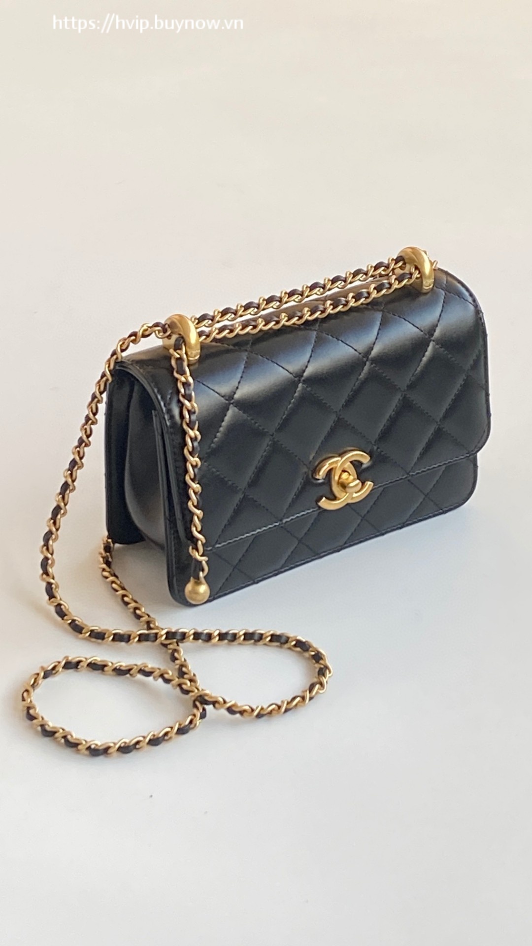 Chanel leather flap bag