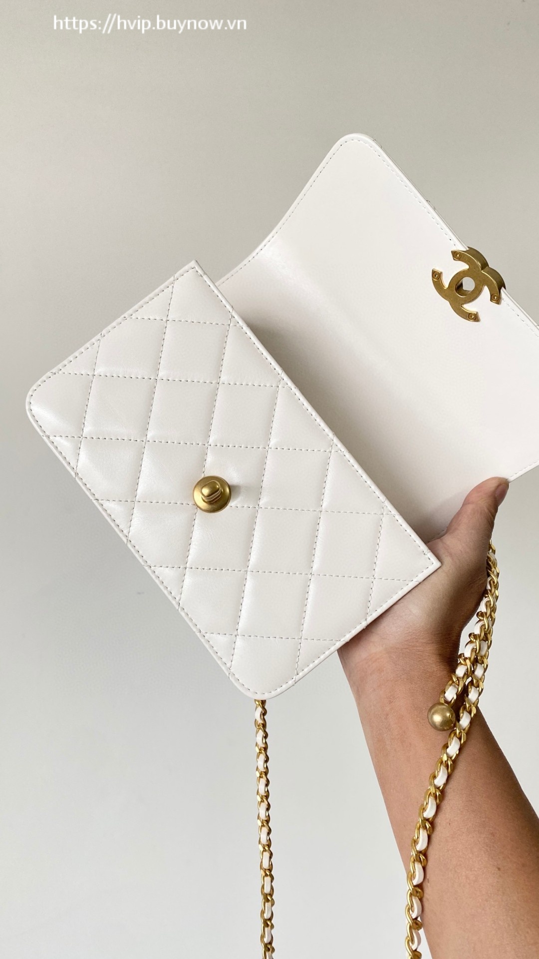 Chanel leather flap bag