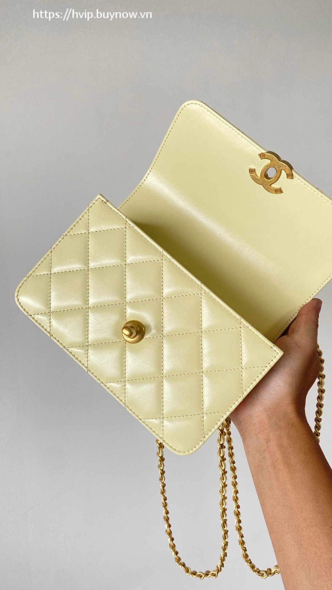 Chanel leather flap bag