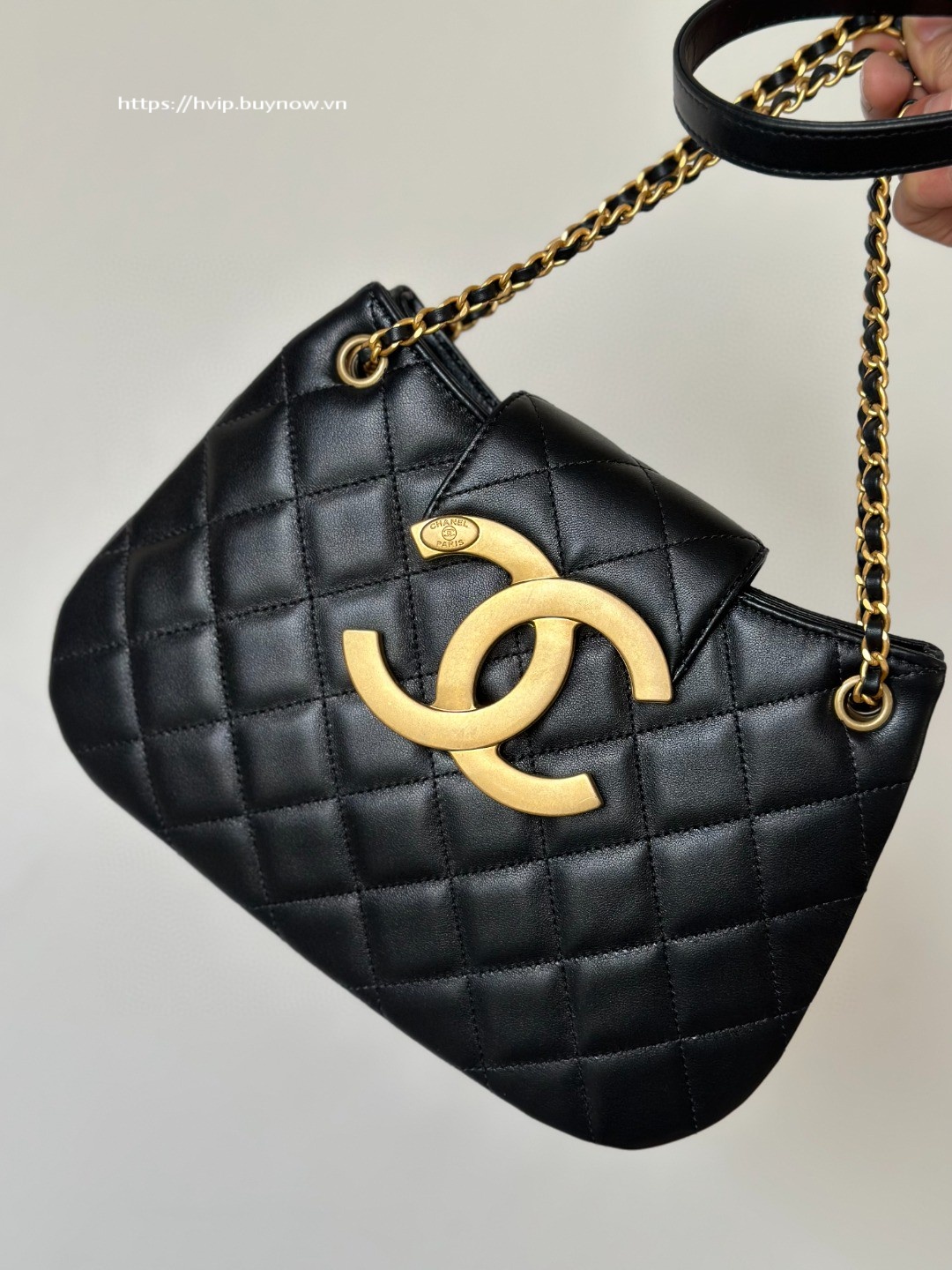 Chanel 23 hobo bag CC logo