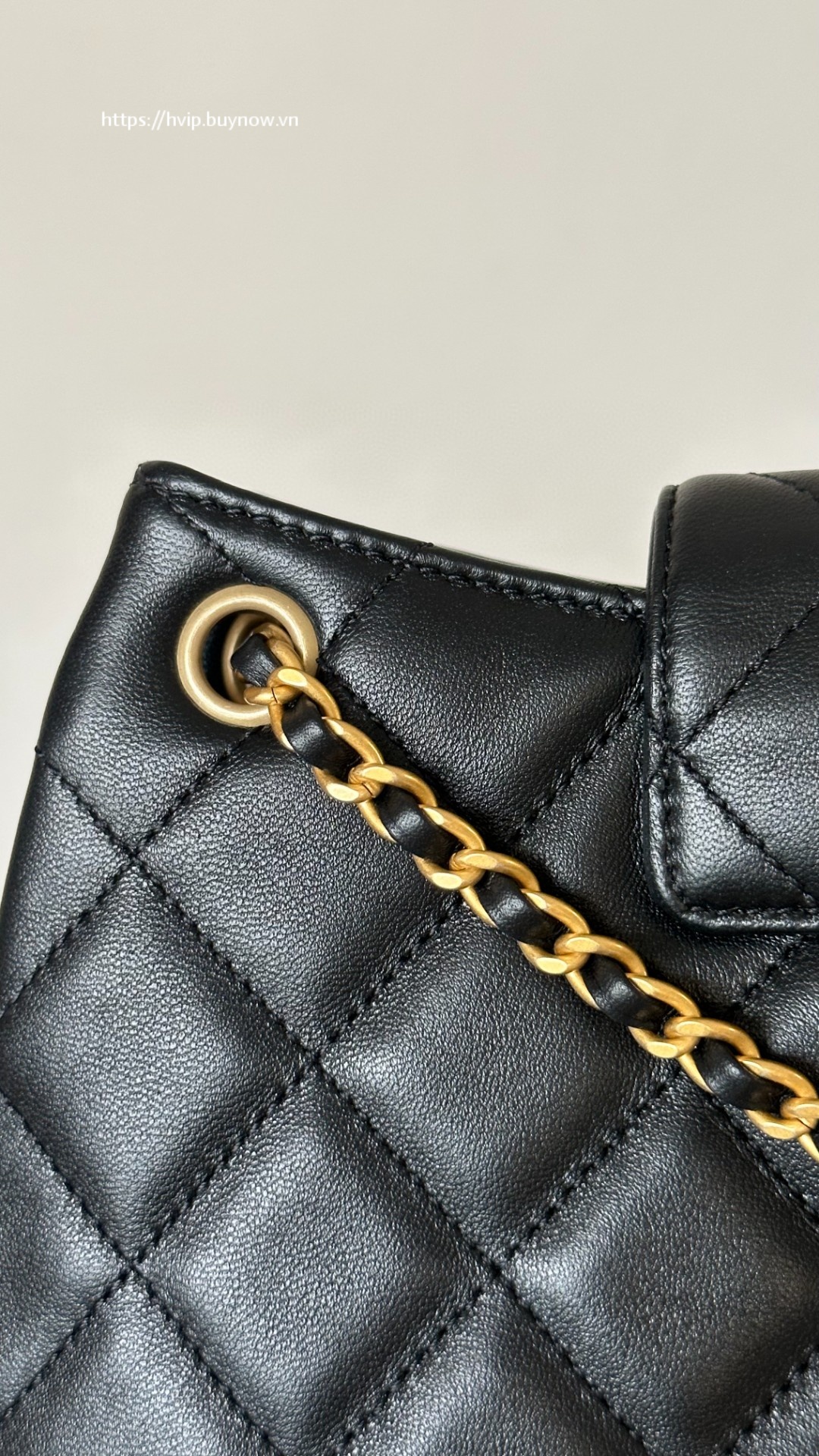 Chanel 23 hobo bag CC logo
