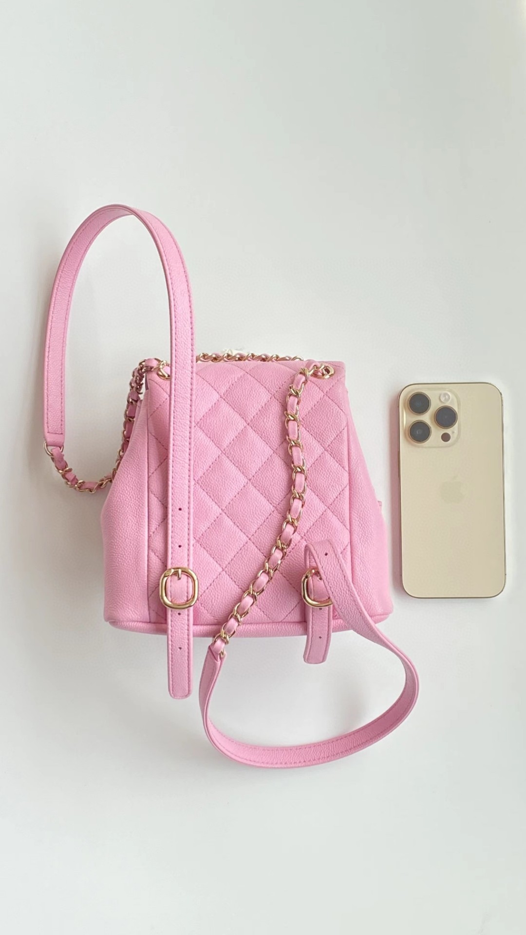 Chanel Duma backpack mini pink leather