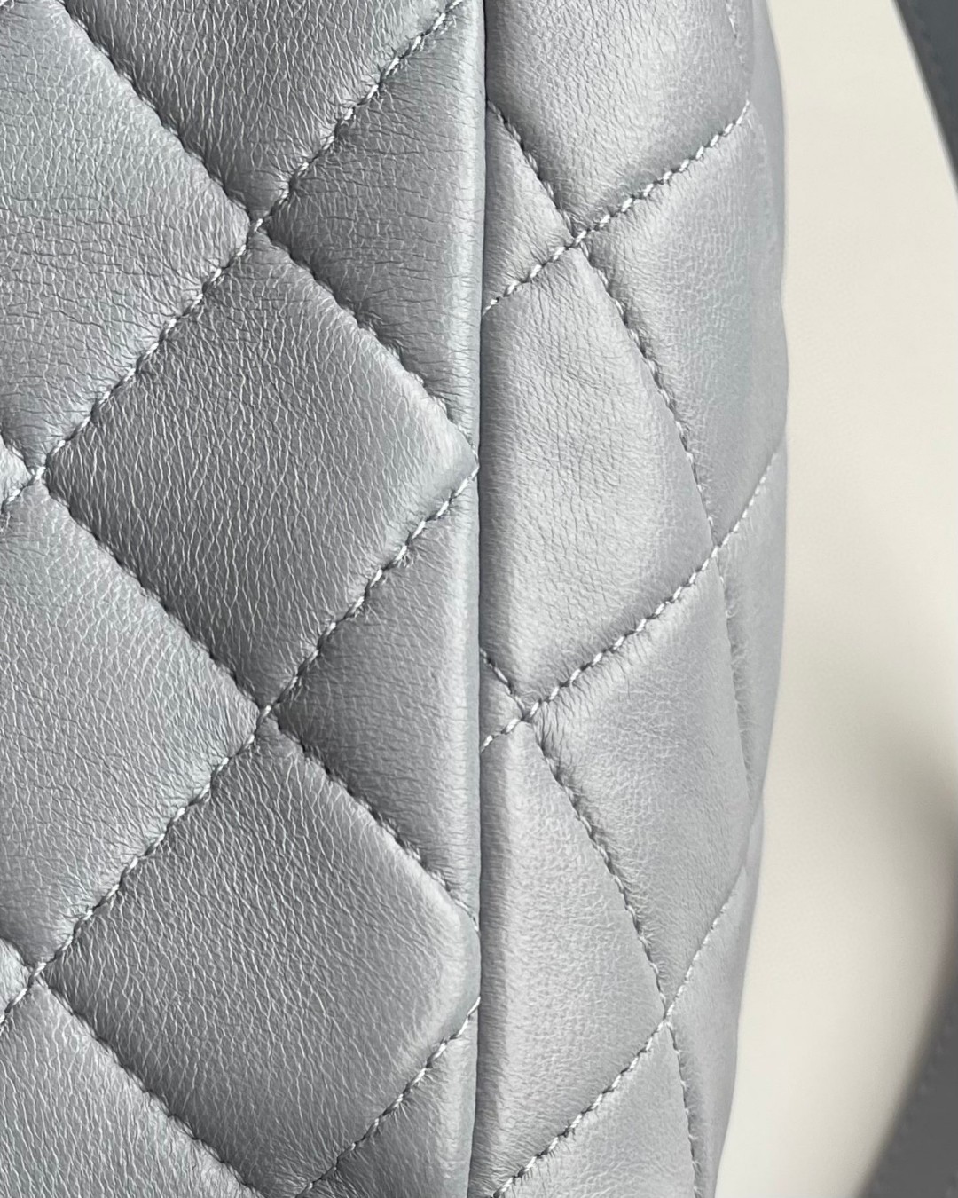 Chanel 19 Duma backpack gray leather