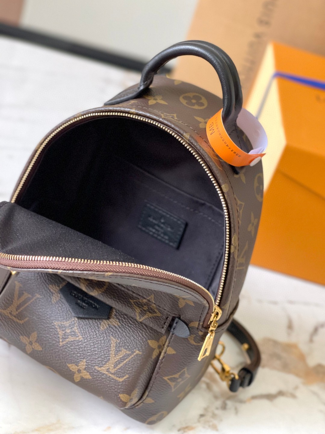 Louis Vuitton M44873 Palm Springs Mini