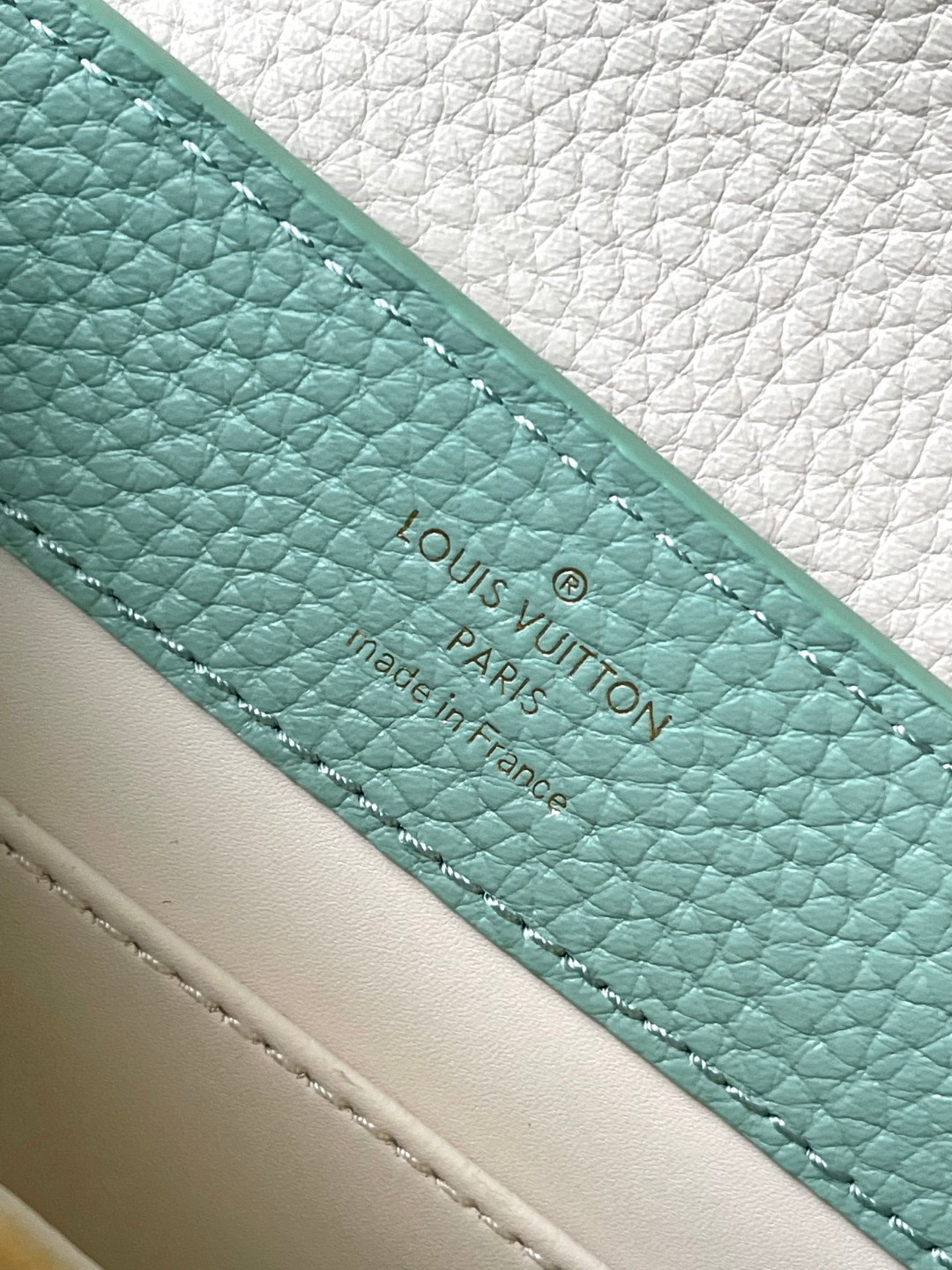 Louis Vuitton M23951 Capucines Mini