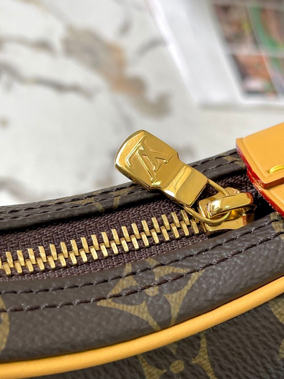 Louis Vuitton M81098 Loop Bag