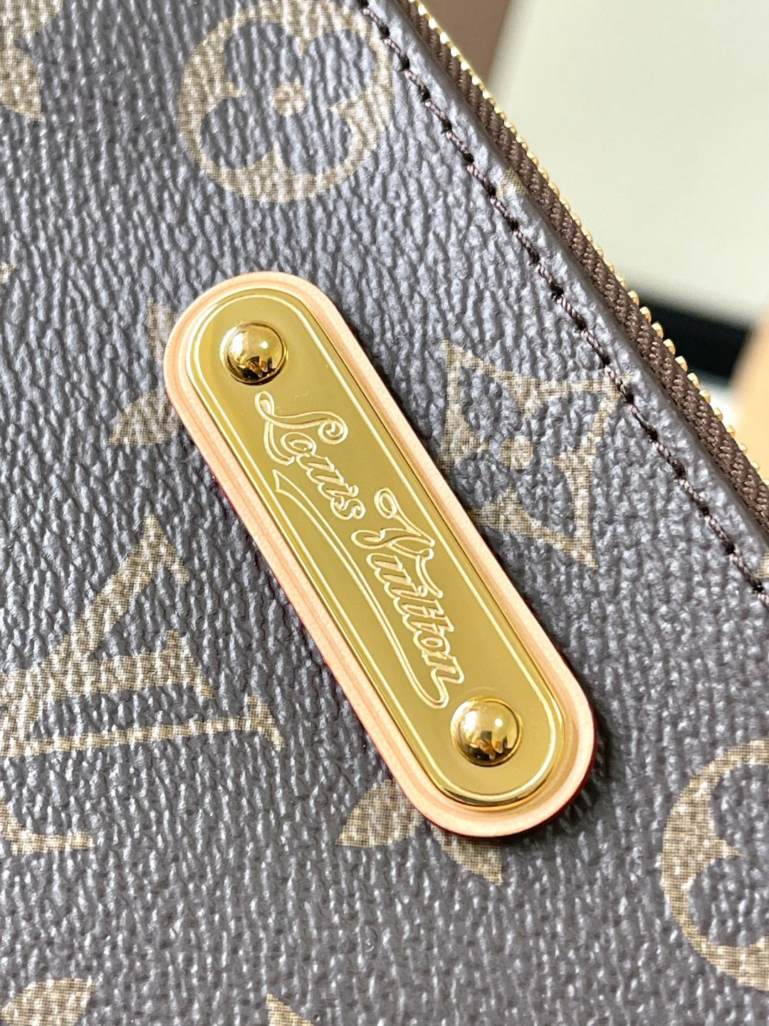 Louis Vuitton M95567 Eva shoulder bag