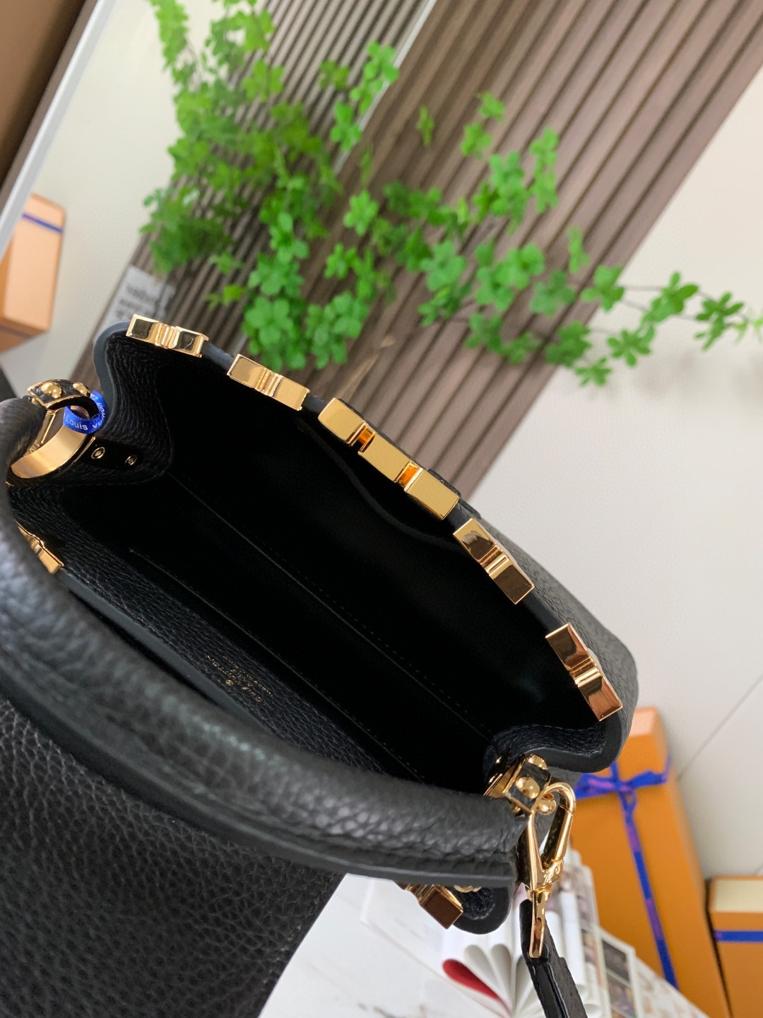 LOUIS VUITTON M56669 Túi Capucines Mini