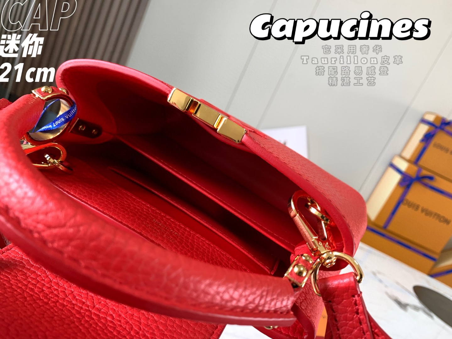 LOUIS VUITTON M56845 Capucines Mini