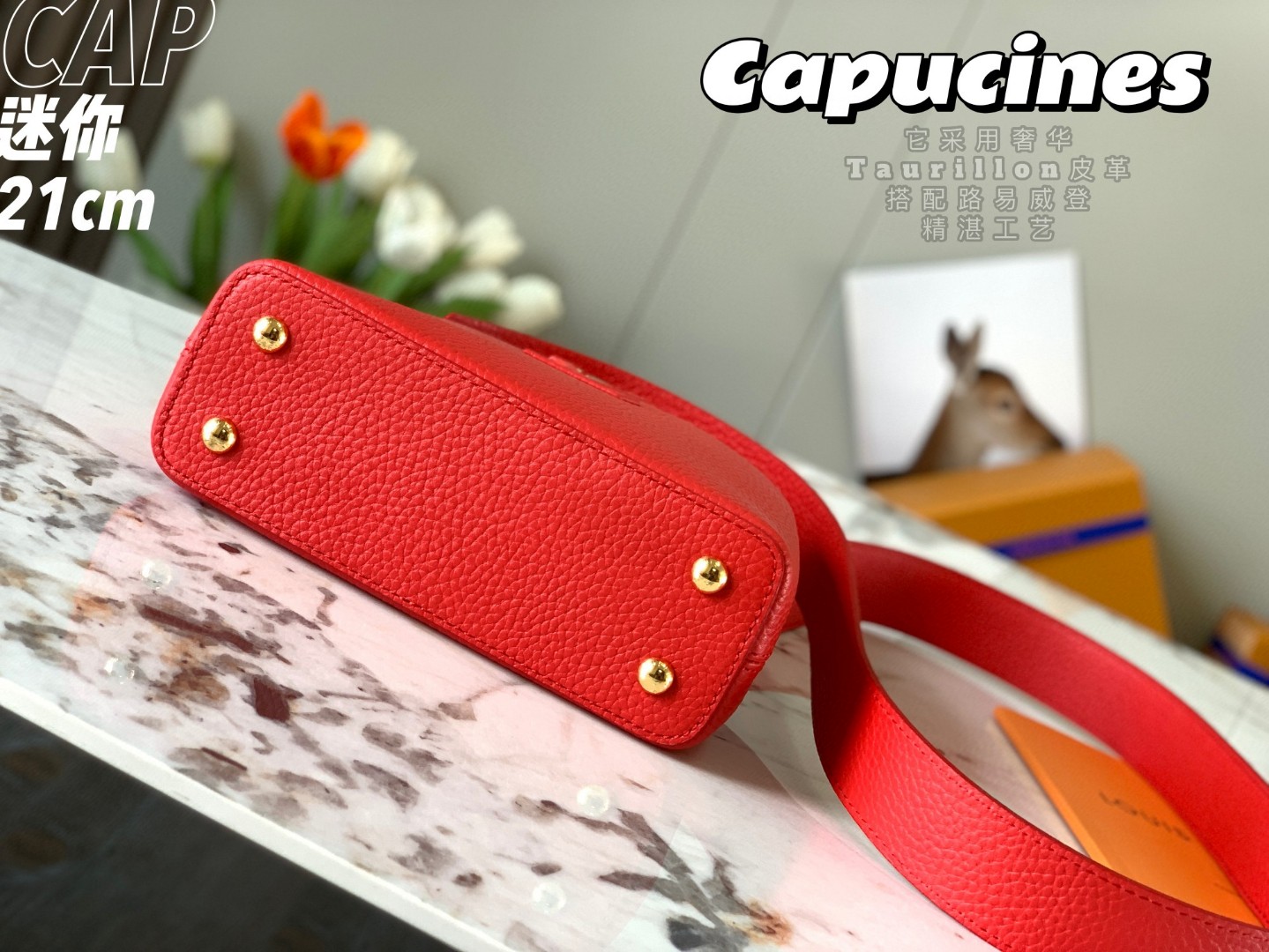 LOUIS VUITTON M56845 Capucines Mini