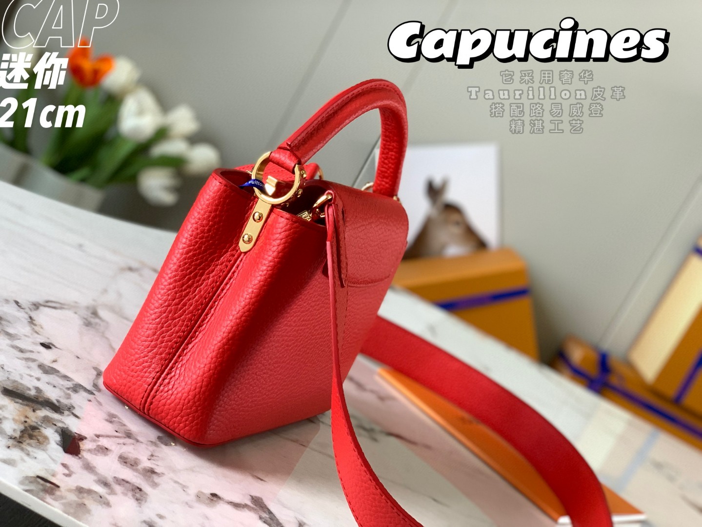 LOUIS VUITTON M56845 Capucines Mini
