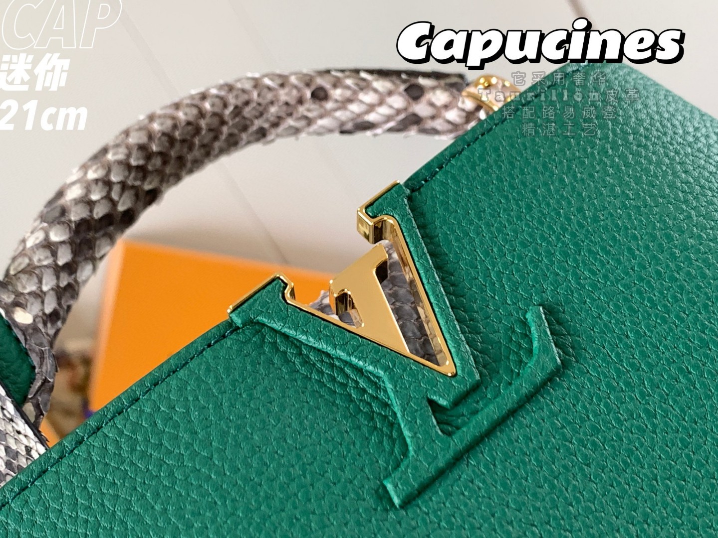 Louis Vuitton N95509 Capucines mini