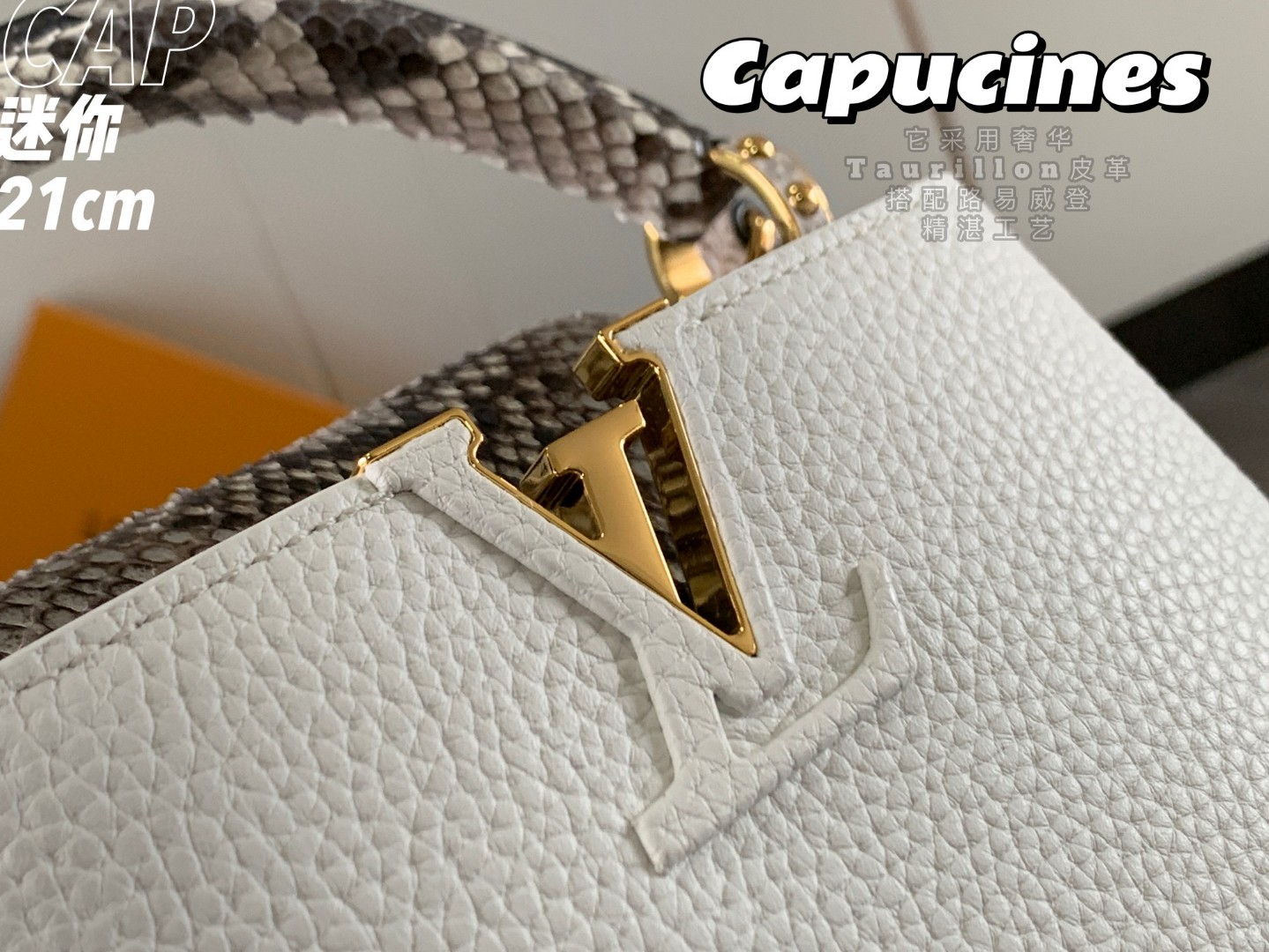 Louis Vuitton N81258 N95509 Capucines Mini Bag