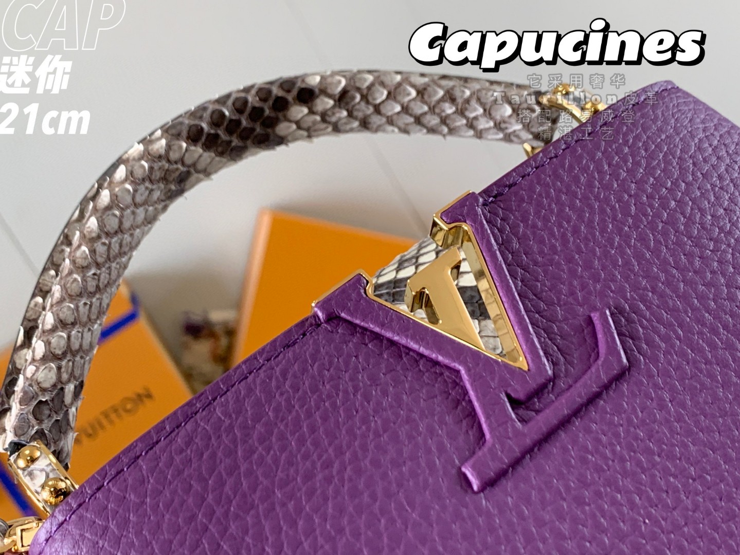 Louis Vuitton N96467 Capucines mini N95509