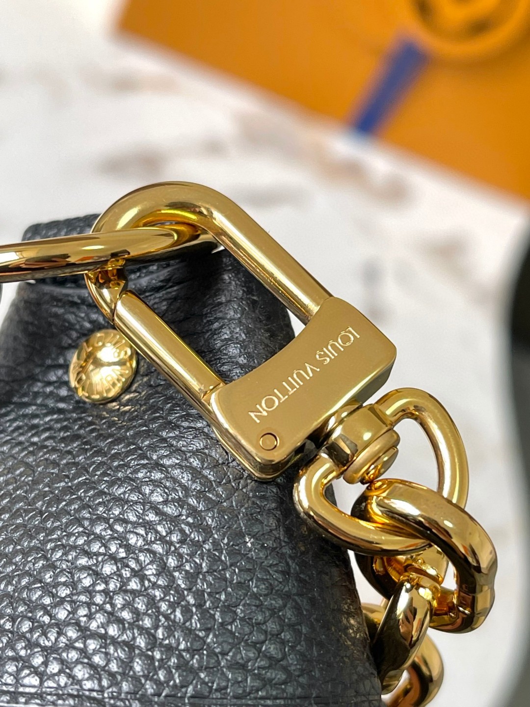 Louis Vuitton M46725 Loop Hobo