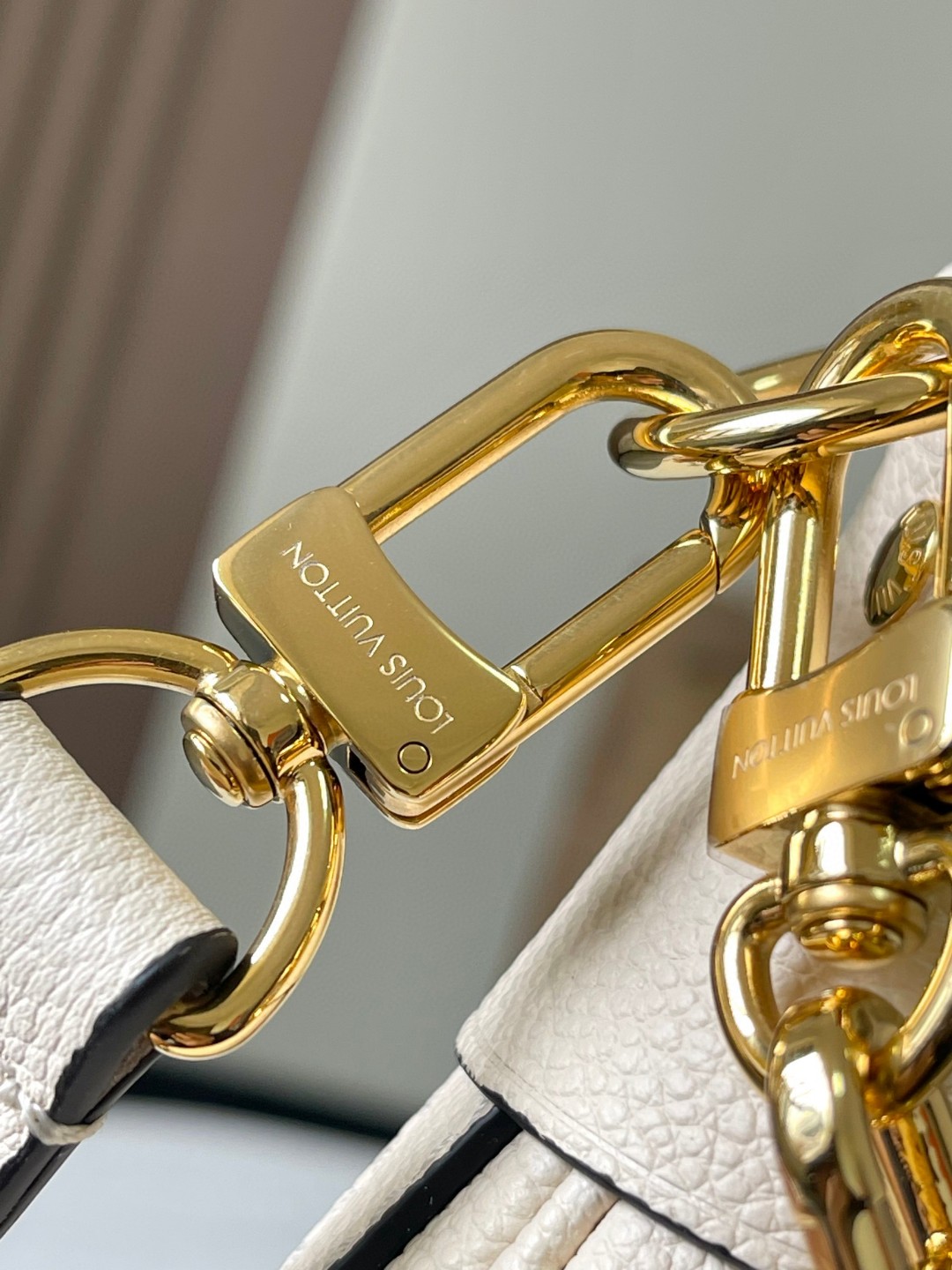 Louis Vuitton M46739 Loop Hobo