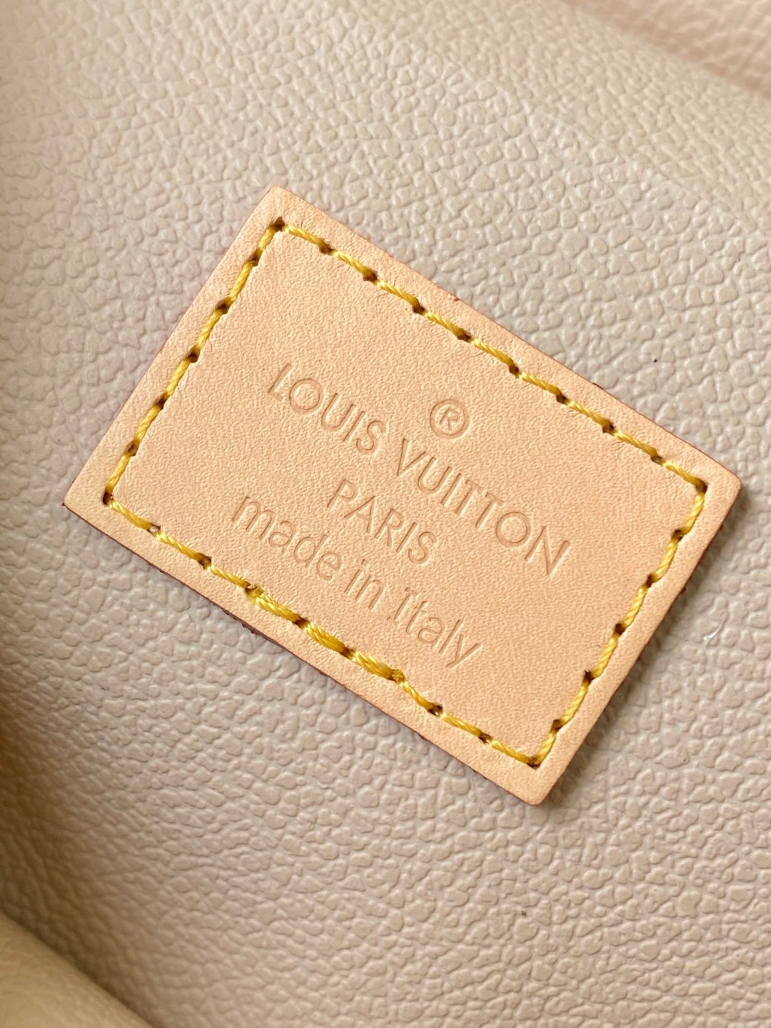Louis Vuitton M44495 Túi Nice Mini