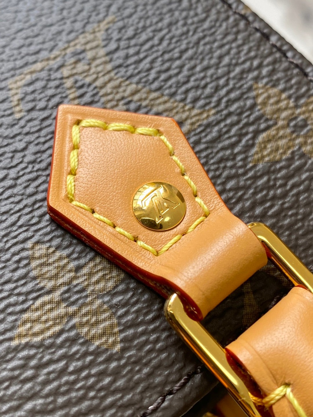 Louis Vuitton M81295 Túi Petit Sac Plat