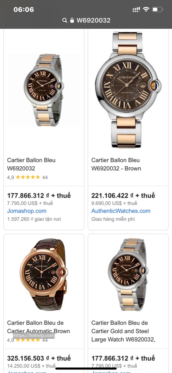 Ballon Bleu de Cartier W6920032
