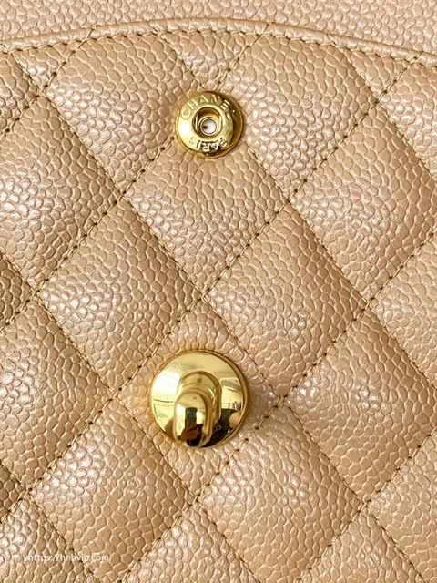 Chanel Classic Flap Bag 25cm