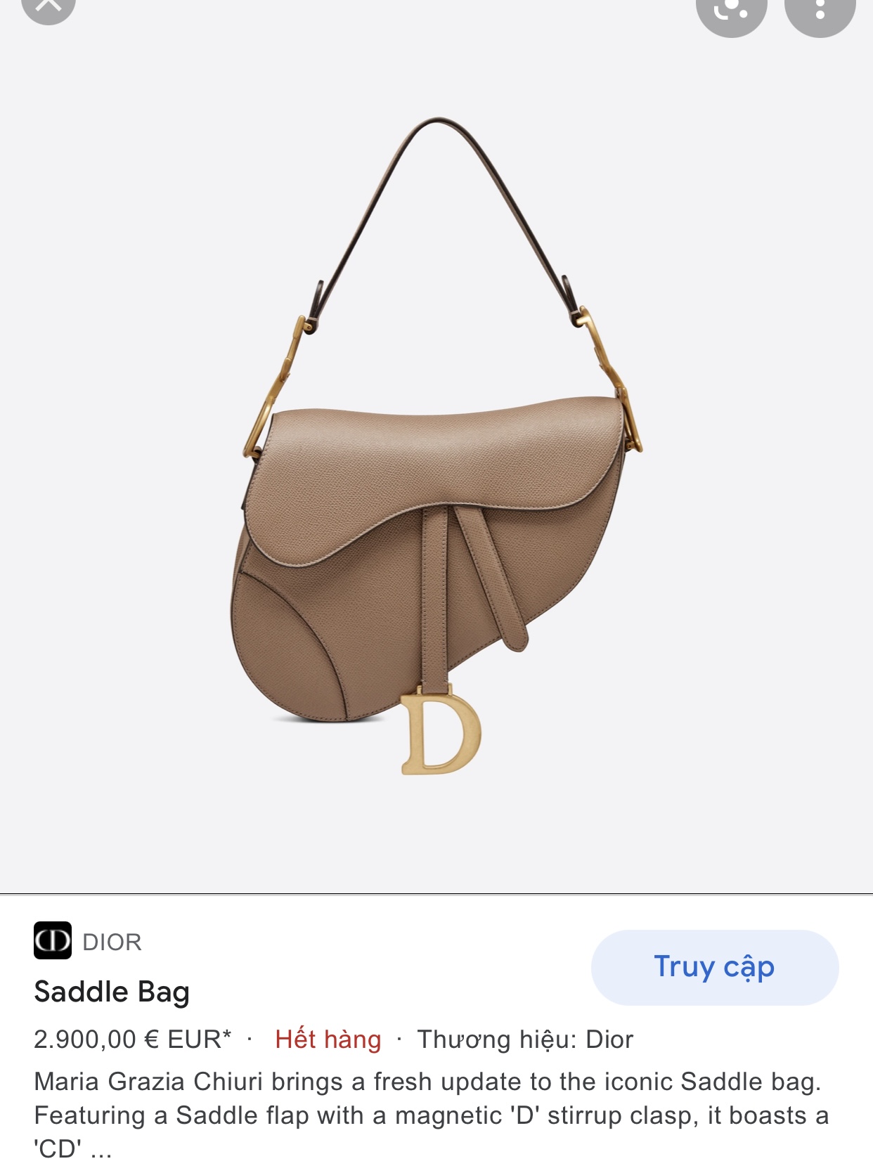 DIOR SADDLE BAG Warm Taupe Grained Calfskin