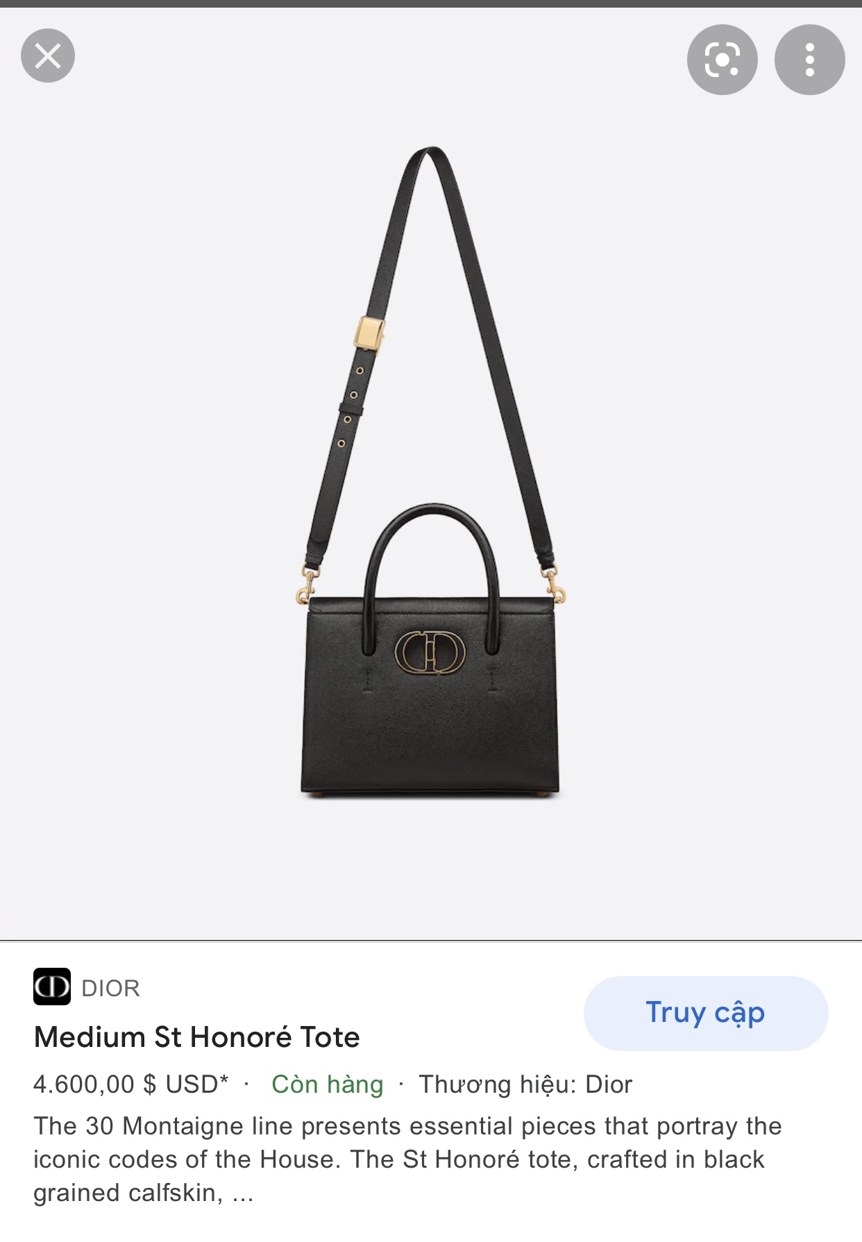 DIOR MEDIUM ST HONORÉ TOTE Black Grained Calfskin