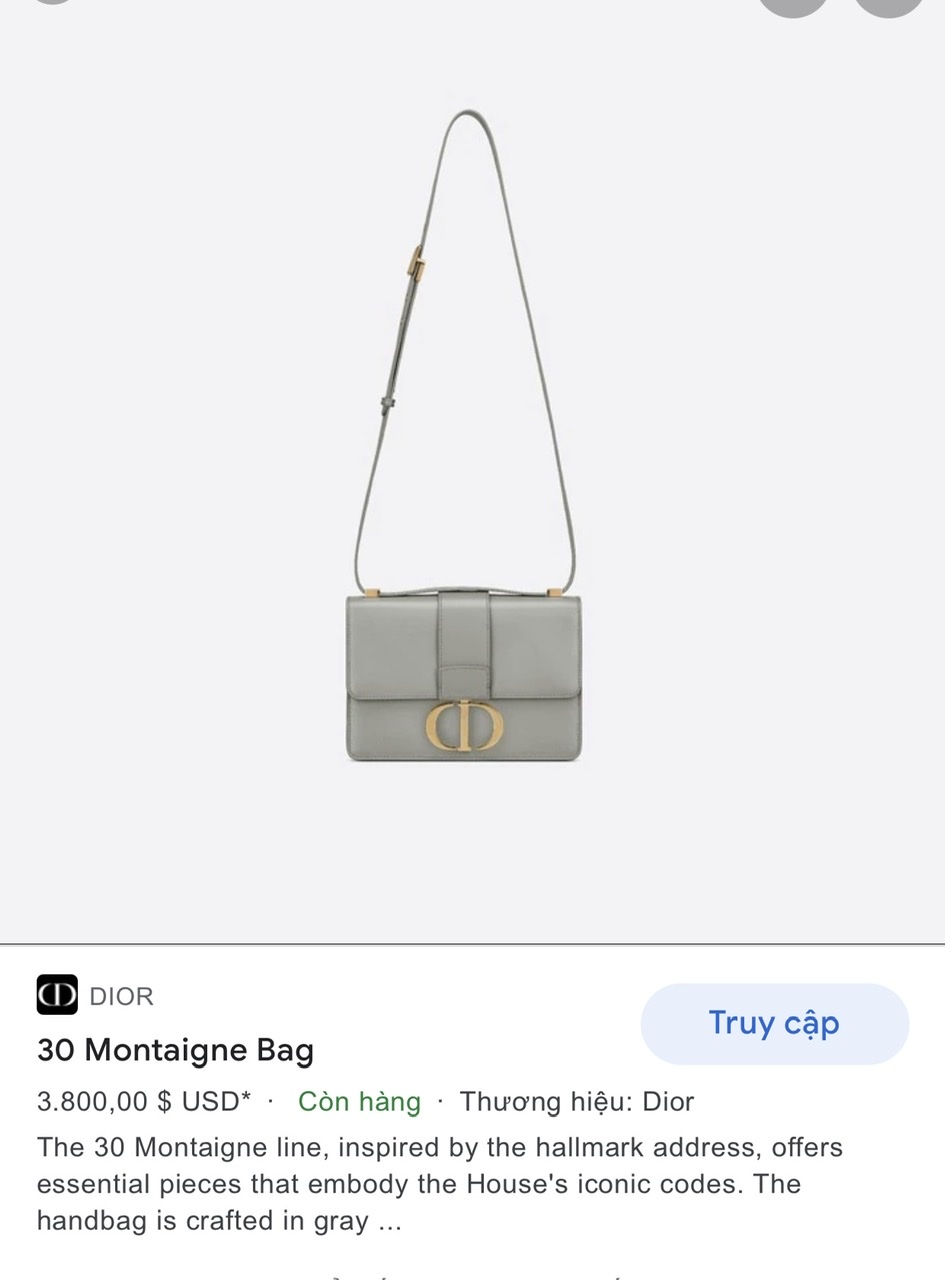 DIOR 30 MONTAIGNE BAG Gray Box Calfskin