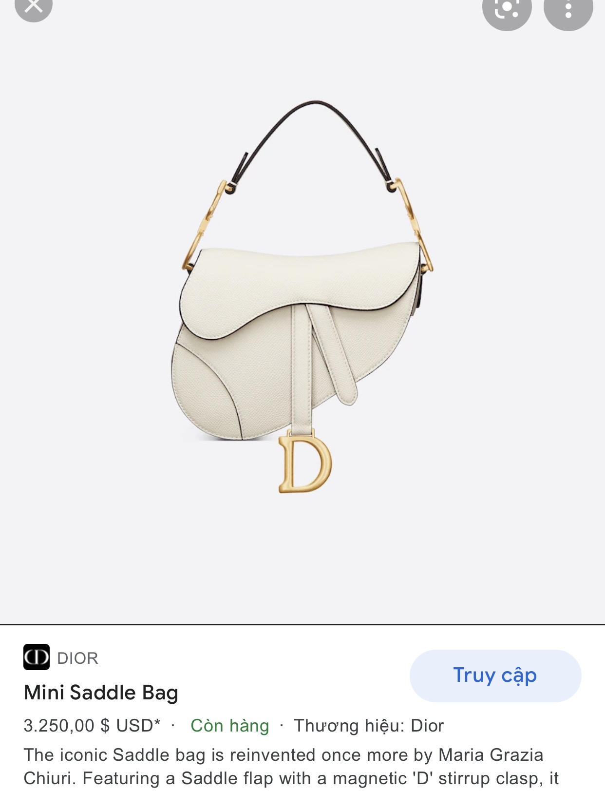 DIOR Mini SADDLE BAG Latte Grained Calfskin