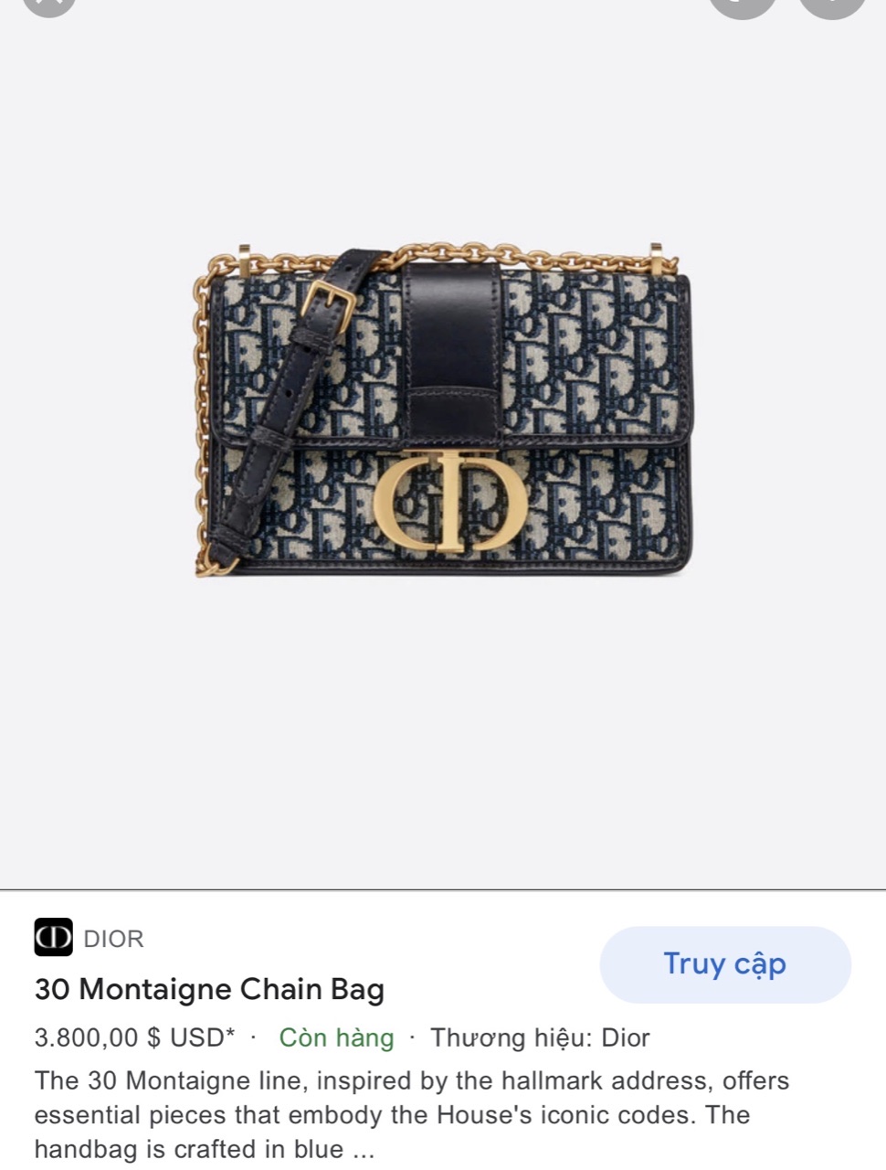 DIOR 30 MONTAIGNE CHAIN BAG Blue Dior Oblique Jacquard