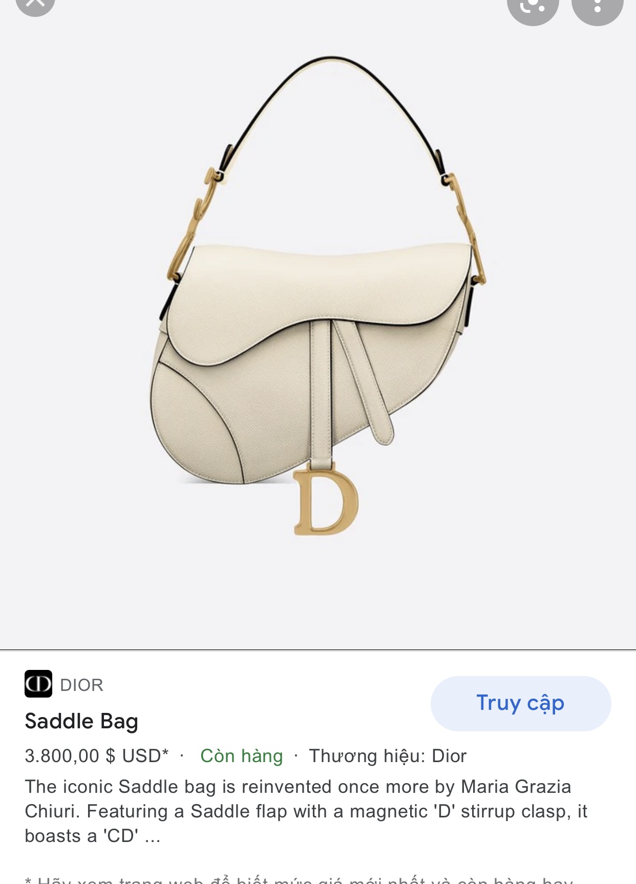 DIOR SADDLE BAG Latte Grained Calfskin